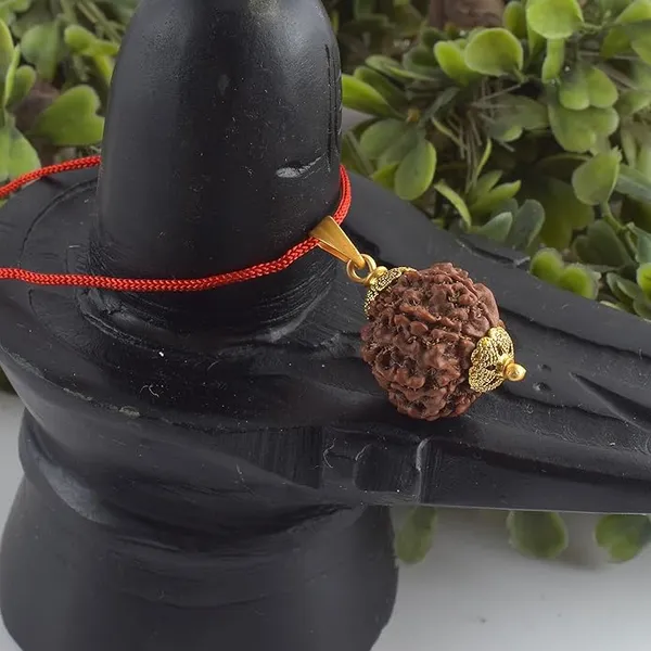 6_Mukhi_Rudraksha_Pendant_With_Red_Thread_|_For_Men_&_Women_Natural_&_Certified