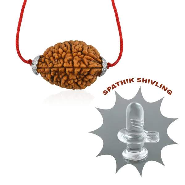 2_Mukhi_Nepali_Rudraksha_Silver_Plated_Pendant_With_Spetic_Crystal_Shivling_|_Astrological_Natural_&_Certified_for_Men_&_Women