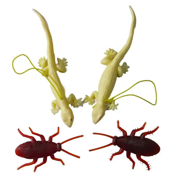 Multicolor_Real_Looking_Rubber_Lizard_And_Rubber_Cockroach_Insect_Toy_Set_For_Practical_Jokes_And_Prank_Trick_Toys_For_Kids_And_Adults_(Lizard_13_Cm_|_Cockroach_6.5_Cm)