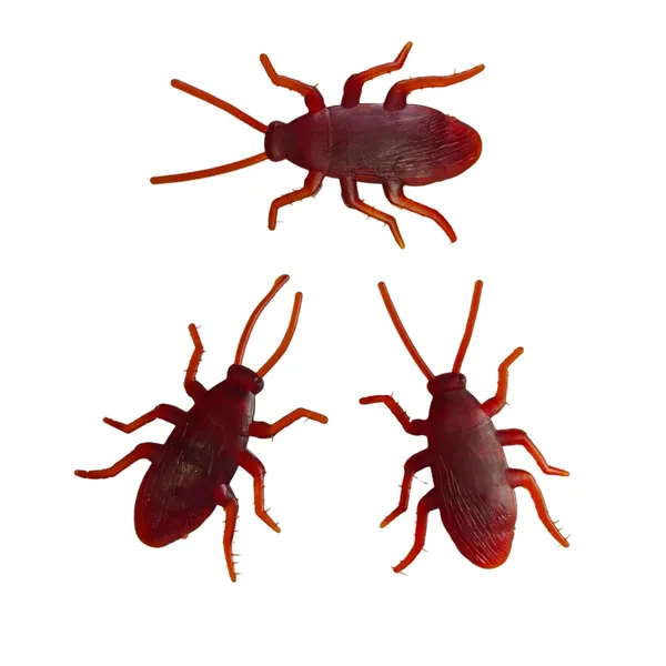 Brown_Real_Looking_Rubber_Cockroach_Insect_Toy_Set_For_Practical_Jokes_And_Prank_Trick_Toys_For_Kids_And_Adults_(6.5_Cm)