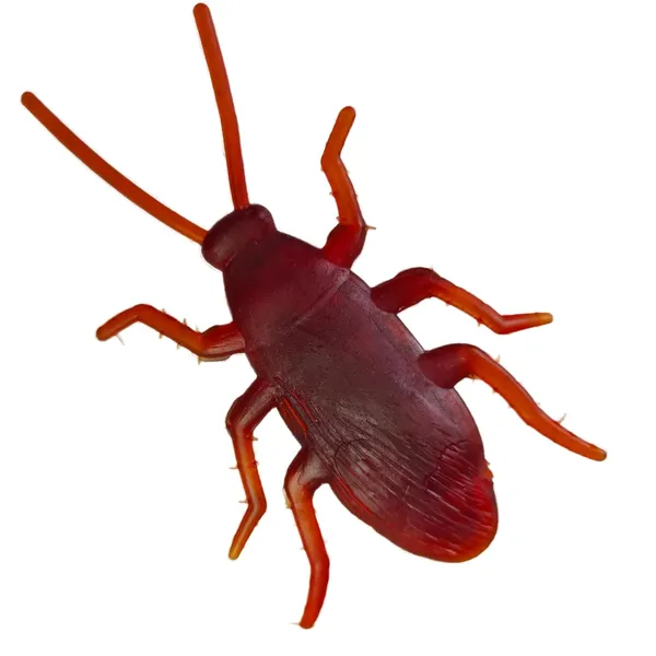 Brown_Real_Looking_Rubber_Cockroach_Insect_Toy_Set_For_Practical_Jokes_And_Prank_Trick_Toys_For_Kids_And_Adults_(6.5_Cm)