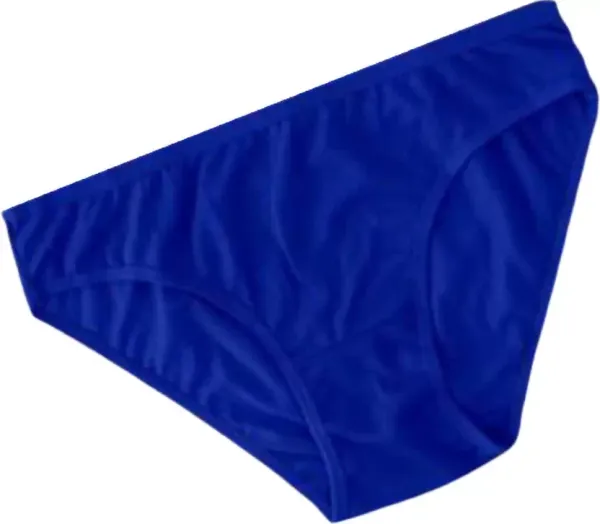Pack_of_3_Multicolor_Regular_Solid_Self_Design_Bikini_Panty_|_For_Women