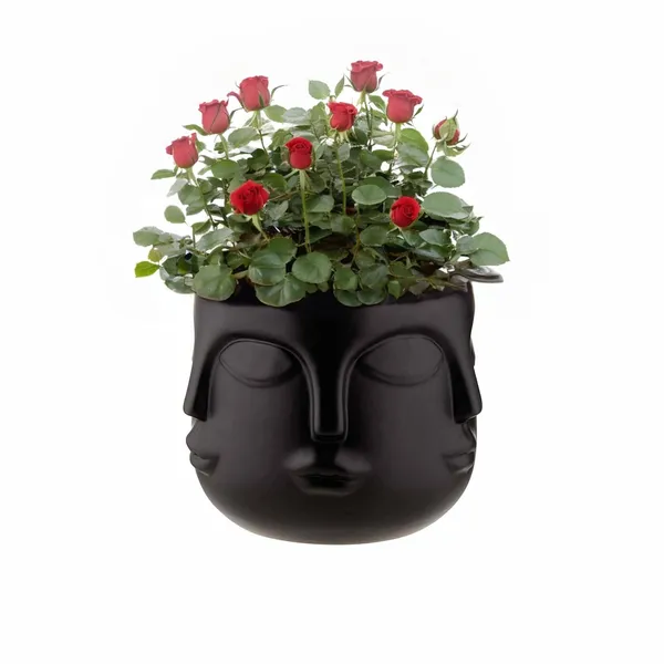 Black_Lady_Multi_Face_Shape_Planter_Nordic_Style_Pot_For_Garden_Planter_&_Succulents_Containers_For_Home_Office_(25L_X_25W_X_25H_Centimeters)