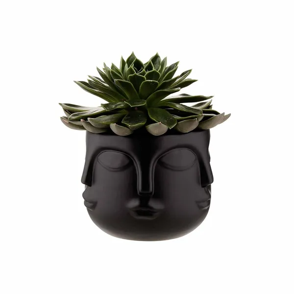 Black_Lady_Multi_Face_Shape_Planter_Nordic_Style_Pot_For_Garden_Planter_&_Succulents_Containers_For_Home_Office_(25L_X_25W_X_25H_Centimeters)