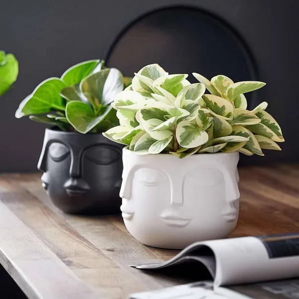 Black_Lady_Multi_Face_Shape_Planter_Nordic_Style_Pot_For_Garden_Planter_&_Succulents_Containers_For_Home_Office_(25L_X_25W_X_25H_Centimeters)