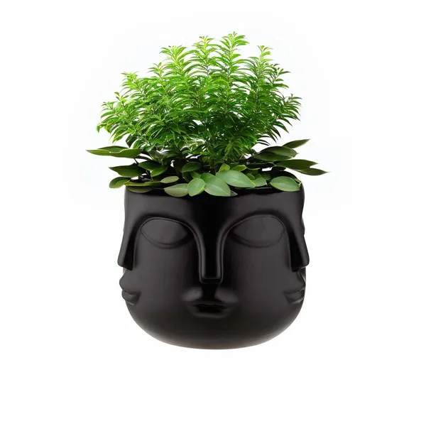 Black_Lady_Multi_Face_Shape_Planter_Nordic_Style_Pot_For_Garden_Planter_&_Succulents_Containers_For_Home_Office_(25L_X_25W_X_25H_Centimeters)