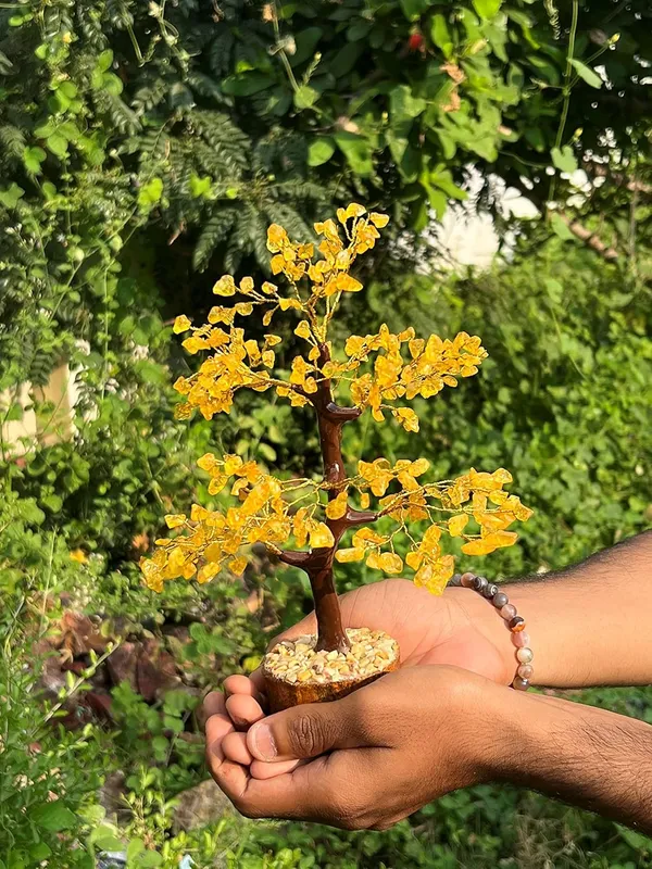 Natural_Citrine_Yellow_Tree_300_Beads_For_Money,_Reiki_Healing,_Vastu_Correction,_Abundance,_Prosperity,Business_Success_And_Increase_Creativity