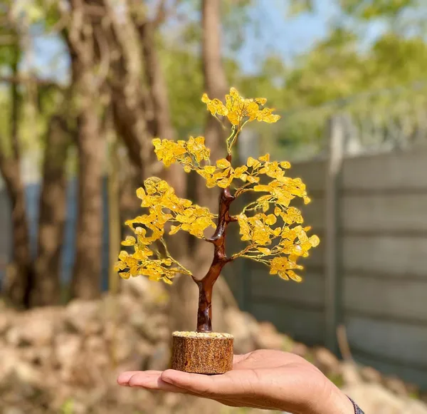 Natural_Citrine_Yellow_Tree_300_Beads_For_Money,_Reiki_Healing,_Vastu_Correction,_Abundance,_Prosperity,Business_Success_And_Increase_Creativity
