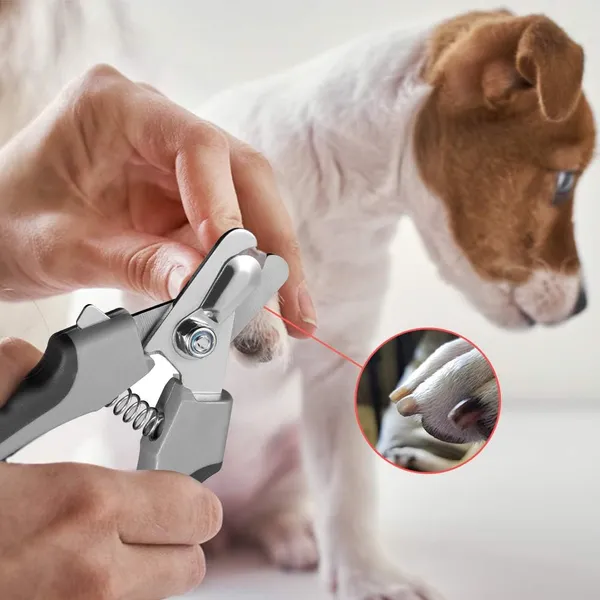 Multicolor_Dog_Nail_Clippers,_Dog_Nail_Trimmer_Large_Breed_With_Quick_Sensor,Safari_Professional_Cat_Nail