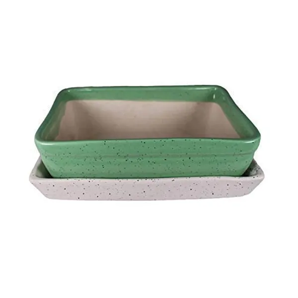 Rectangle_With_Tray_Plate_Ceramic_For_Indoor_Plants,Planters,Flower,Gamla_For_Indoor,Outdoor,Balcony,Home,Garden,Office_Decor,Bonsai,Succulent_Pot(Parrot,Plate:White)