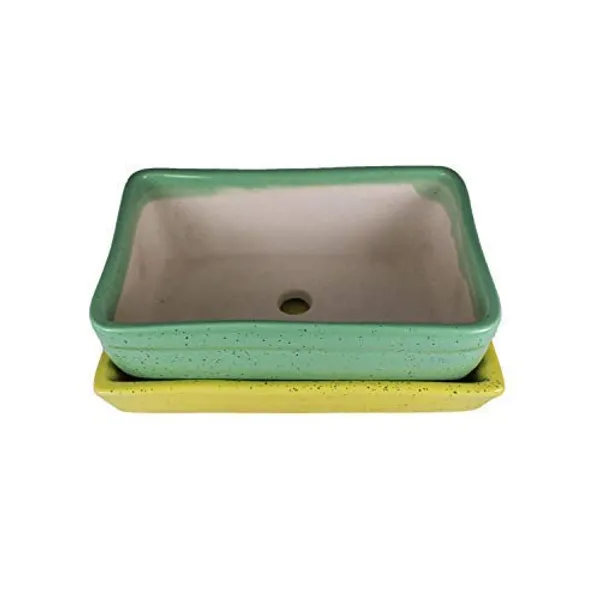 Rectangle_With_Tray_Plate_Ceramic_For_Indoor_Plants,Planters,Flower,Gamla_For_Indoor,Outdoor,Balcony,Home,Garden,Office_Decor,Bonsai,Succulent_Pot(Parrot,Plate:Yellow)