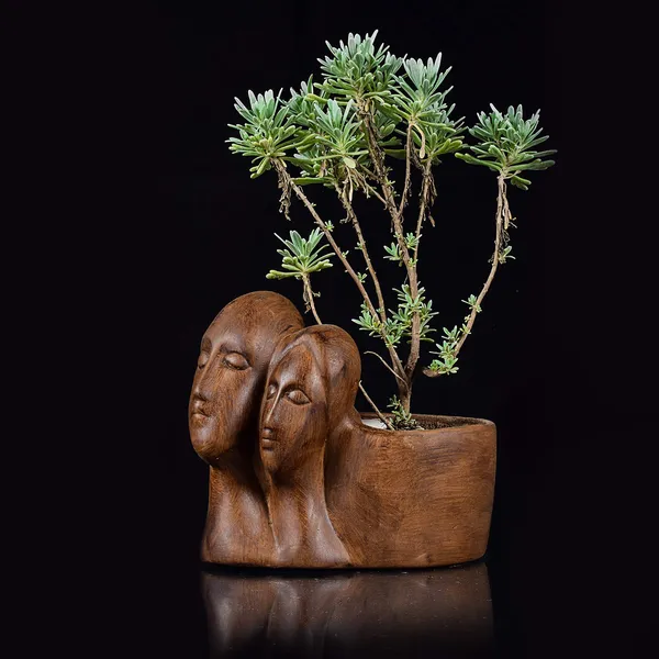 Couple_Antique_Ceramic_Pots_For_Indoor_Plants,_Planters,_Flower,Gamla,_Outdoor,_Balcony,_Home,_Garden,_Office_Decor,_Succulent(L_-_16_X_W_-_10_X_H_-_14.5_Cm)