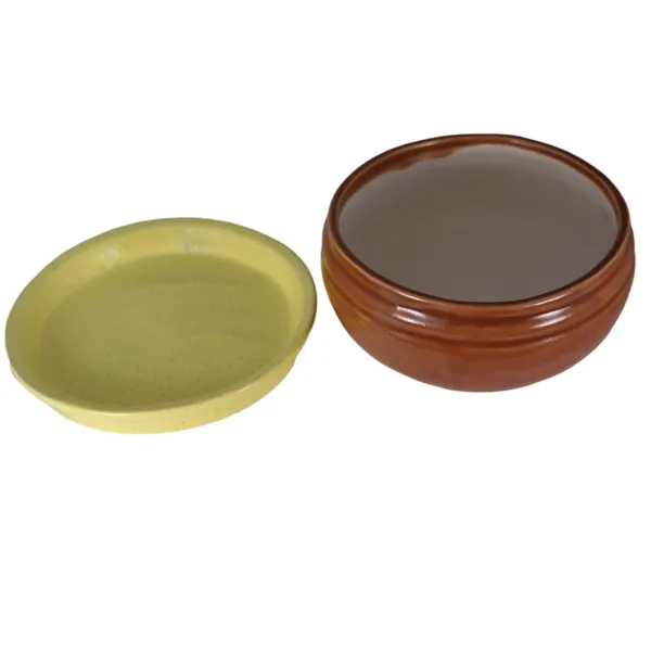 Bowl_With_Tray_Plate_Ceramic_Pots_For_Indoor_Plants,Planters,Flower_Pots,Gamla_For_Indoor,Outdoor,Succulent_Pot(D:13_Cm,_H:7_Cm)