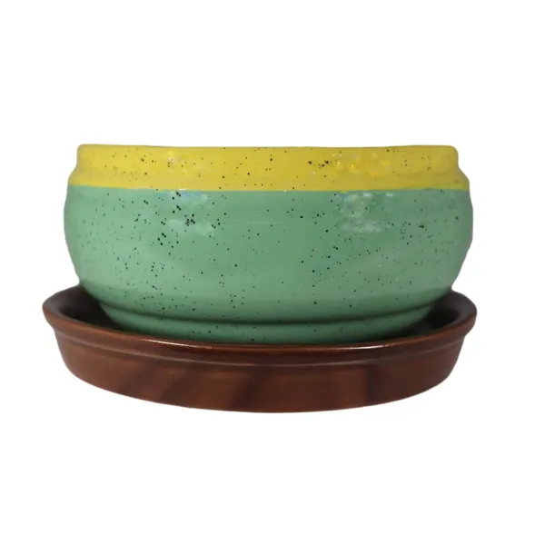 Bowl_With_Tray_Plate_Ceramic_Pots_For_Indoor_Plants,Planters,Flower_Pots,Gamla_For_Indoor,Outdoor,Succulent_Pot(D:13_Cm,_H:7_Cm)