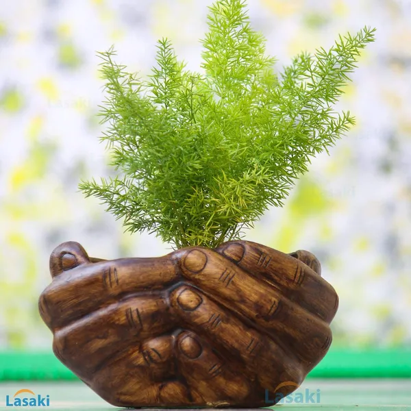 Hand_With_Plate_Tray_Ceramic_Pots_For_Indoor_Plants,Planters,Flower,Gamla,Outdoor,Balcony,Home,Garden,Office_Decor,Bonsai,Succulent(Antique,Plate:Yellow)(L:18_Cm,W:16_Cm,H:9_Cm)