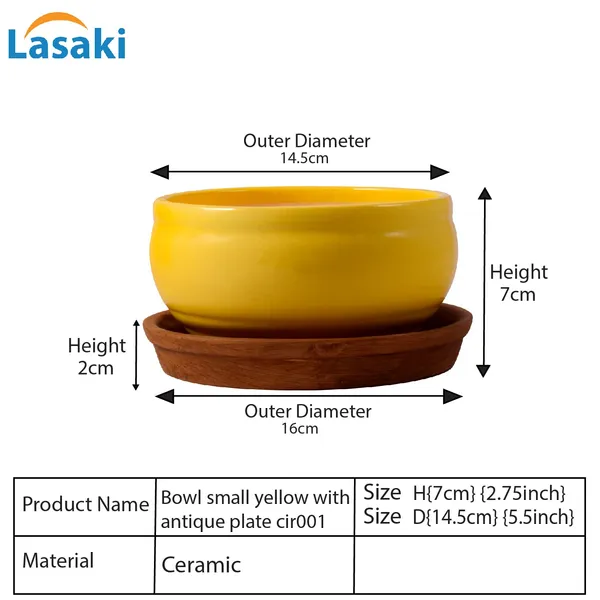 Bowl_With_Tray_Plate_Ceramic_Pots_For_Indoor_Plants,Planters,Flower_Pots,Gamla_For_Indoor,Outdoor,Succulent_Pot(D:13_Cm,_H:7_Cm)