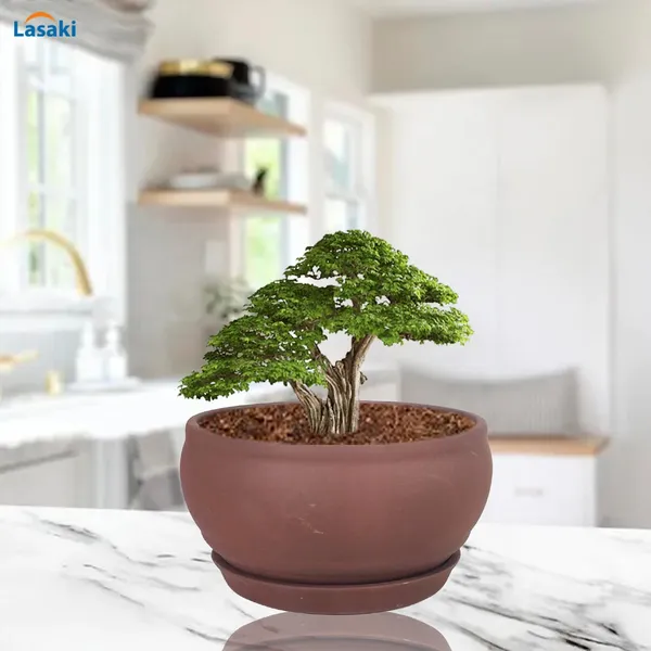 Bowl_Small_Truffle_With_Plate_Truffle_R4_Ceramic_Pots_For_Indoor_Plants,Planters,Flower,Gamla,Outdoor,Home,Garden,Decor,Succulent(Bowl-H-8Cmxd-15Cm,Plate-H-2Xd-13Cm)