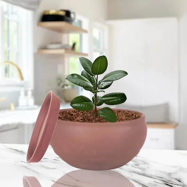 Bowl_Small_Truffle_With_Plate_Truffle_R4_Ceramic_Pots_For_Indoor_Plants,Planters,Flower,Gamla,Outdoor,Home,Garden,Decor,Succulent(Bowl-H-8Cmxd-15Cm,Plate-H-2Xd-13Cm)