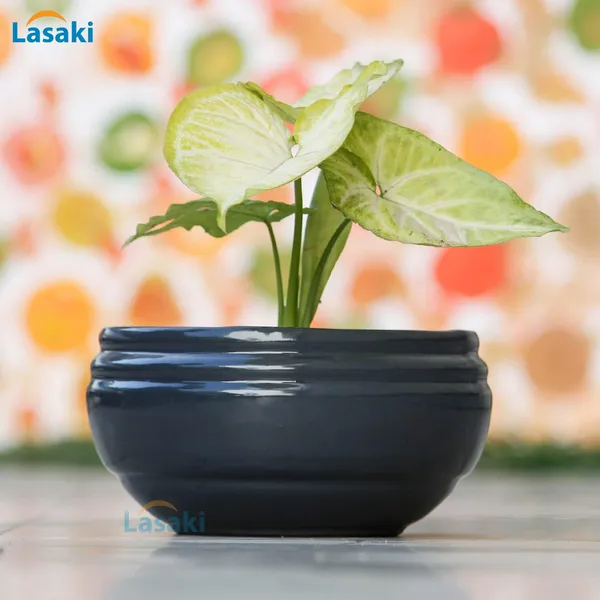 Bowl_Small_With_Tray_Plate_Ceramic_Pots_For_Indoor_Plants,Planters,Flower_Pots,Gamla_For_Indoor,Outdoor,Succulent_Pot(Color:Dark_Grey-Violet)(D:13_Cm,_H:7_Cm)