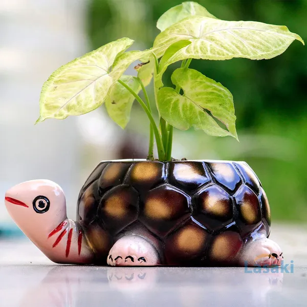 Tortoise_Big_Ceramic_Pots_For_Indoor_Plants,Planters,Flower_Pots,Gamla_For_Indoor,Outdoor,Succulent_Pot.(Color:_Hp_Pink_Neck)