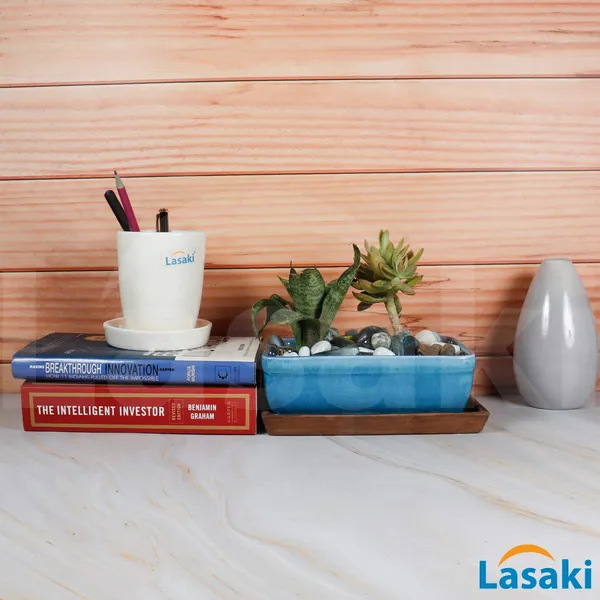Rectangle_With_Plate_Tray_Ceramic_Pots_For_Indoor_Plants,Planters,Flower_Pots,Gamla_For_Indoor,Outdoor,Succulent_Pot.(Color:_Turguoiseplate:Antiuqe)