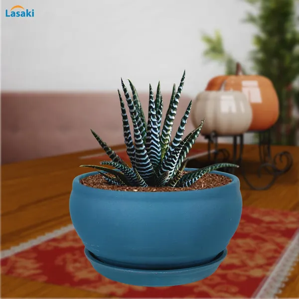 Bowl_Small_Blue_With_Plate_Blue_R4_Ceramic_Pots_For_Indoor_Plants,Planters,Flower,Gamla,Outdoor,Balcony,Home,Garden,Decor,Succulent(Bowl-H-8Cmxd-15Cm,Plate-H-2Xd-13Cm)