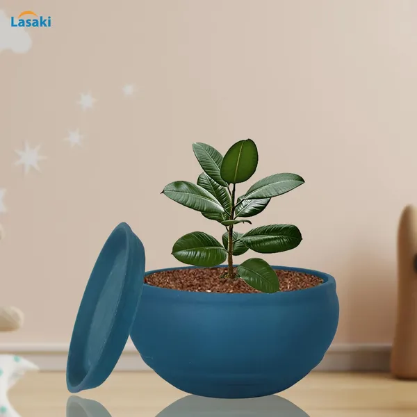 Bowl_Small_Blue_With_Plate_Blue_R4_Ceramic_Pots_For_Indoor_Plants,Planters,Flower,Gamla,Outdoor,Balcony,Home,Garden,Decor,Succulent(Bowl-H-8Cmxd-15Cm,Plate-H-2Xd-13Cm)