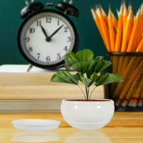 Bowl_Small_White_With_Plate_White_R4_Ceramic_Pots_For_Indoor_Plants,Planters,Gamla,Outdoor,Balcony,Home,Garden,Decor,Succulent(Bowl-H-8Cmxd-15Cm,Plate-H-2Xd-13Cm)