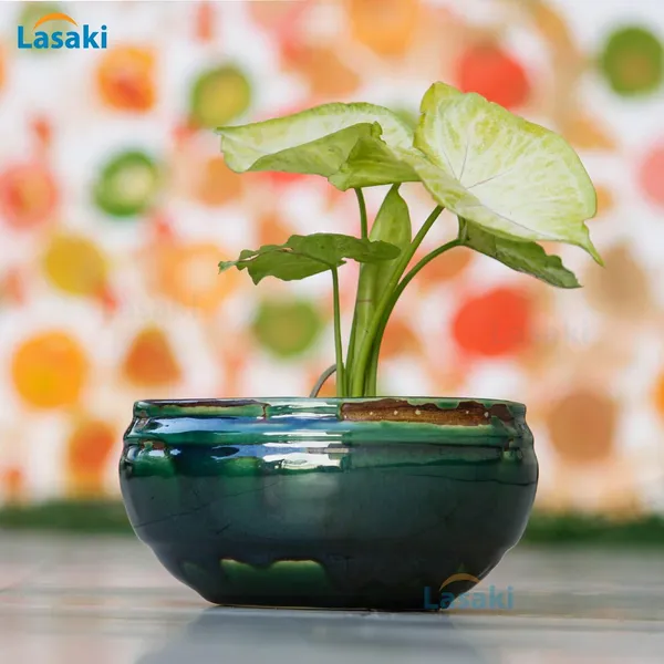 Bowl_With_Tray_Plate_Ceramic_Pots_For_Indoor_Plants,Planters,Flower_Pots,Gamla_For_Indoor,Outdoor,Succulent_Pot(Color:Green_Shine)(Cir002)