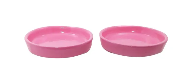 Plate_Tray_(Set_Of_Two)_For_Ceramic_Pots_For_Indoor_Plants,Planters,Flower_Pots,Gamla_(Color:Pink)_(D:_10_Cm,_H:_1.5_Cm)