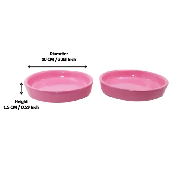 Plate_Tray_(Set_Of_Two)_For_Ceramic_Pots_For_Indoor_Plants,Planters,Flower_Pots,Gamla_(Color:Pink)_(D:_10_Cm,_H:_1.5_Cm)