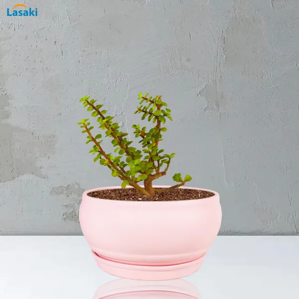 Bowl_Small_Pink_With_Plate_Pink_R4_Ceramic_Pots_For_Indoor_Plants,Planters,Flower,Gamla,Outdoor,Balcony,Home,Garden,Decor,Succulent(Bowl-H-8Cmxd-15Cm,Plate-H-2Xd-13Cm)
