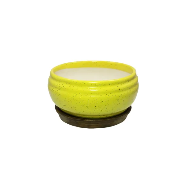 Bowl_With_Tray_Plate_Ceramic_Pots_For_Indoor_Plants,Planters,Flower_Pots,Gamla_Outdoor,Succulent_Pot(Color:_Yellow,_Plate:_Antique)(Cir002)