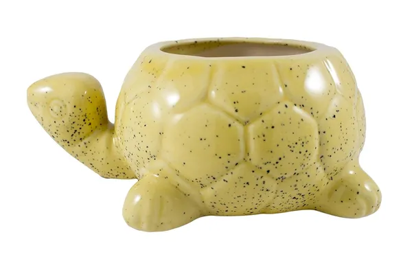 Tortoise_Ceramic_Pots_For_Indoor_Plants,Planters,Flower_Pots,Gamla_For_Indoor,Outdoor,Succulent_Pot(Color:_Big_Yellow)