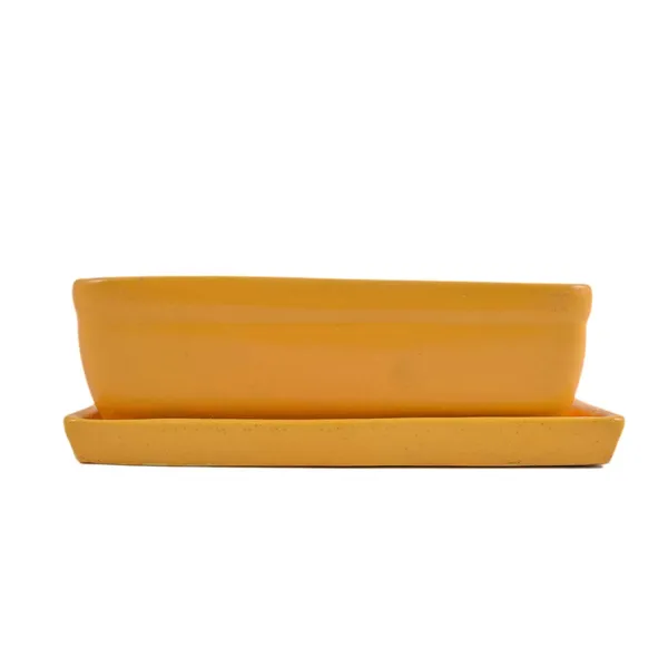 Rectangle_With_Plate_Tray_Ceramic_Pots_For_Indoor_Plants,Planters,Flower_Pots,Gamla_For_Indoor,Outdoor,Succulent_Pot.(Color:_Hp_Yellow,Plate:Hp_Yellow)