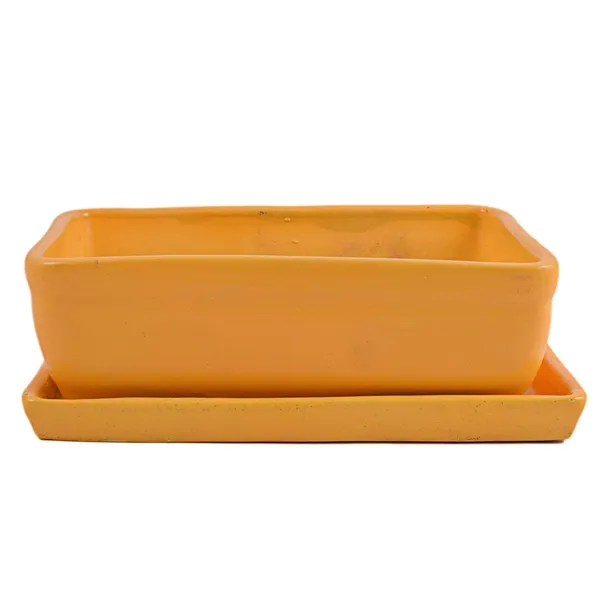 Rectangle_With_Plate_Tray_Ceramic_Pots_For_Indoor_Plants,Planters,Flower_Pots,Gamla_For_Indoor,Outdoor,Succulent_Pot.(Color:_Hp_Yellow,Plate:Hp_Yellow)