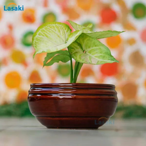 Bowl_With_Tray_Plate_Ceramic_Pots_For_Indoor_Plants,Planters,Flower_Pots,Gamla_For_Indoor,Outdoor,Succulent_Pot(D:13_Cm,_H:7_Cm)_(Color:Red_Brown,_Plate:Antique)