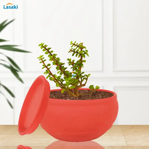 Bowl_Small_Red_With_Plate_Red_R4_Ceramic_Pots_For_Indoor_Plants,Planters,Flower,Gamla,Outdoor,Balcony,Home,Garden,Decor,Succulent(Bowl-H-8Cmxd-15Cm,Plate-H-2Xd-13Cm)