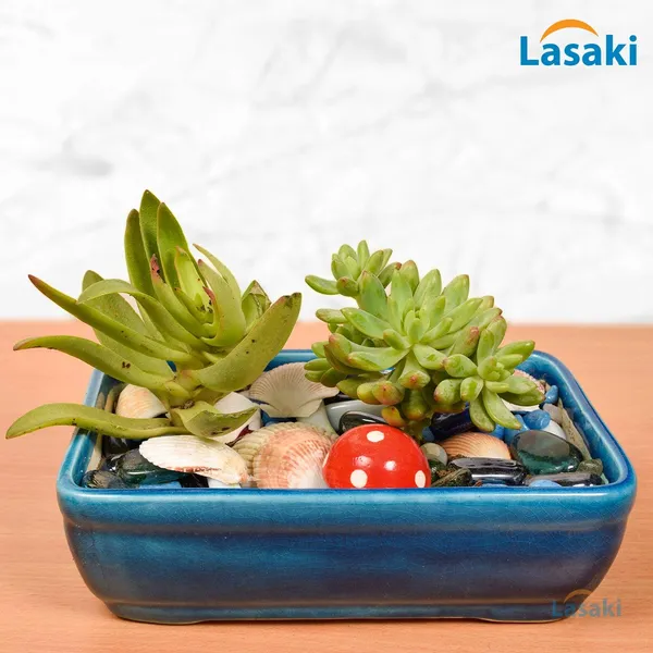 Rectangle_With_Plate_Tray_Ceramic_Pots_For_Indoor_Plants,Planters,Flower_Pots,Gamla_For_Indoor,Outdoor,Succulent_Pot.(Color:_Turguoise,Plate:White)