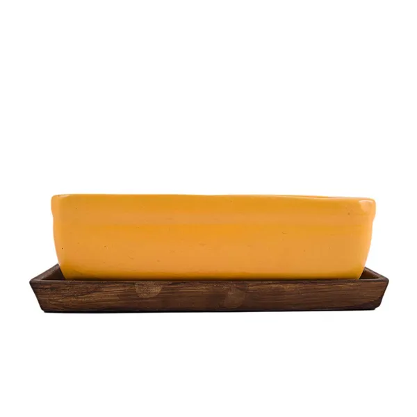Rectangle_With_Plate_Tray_Ceramic_Pots_For_Indoor_Plants,Planters,Flower_Pots,Gamla_For_Indoor,Outdoor,Succulent_Pot.(Color:_Hp_Yellow,Plate:Antique)