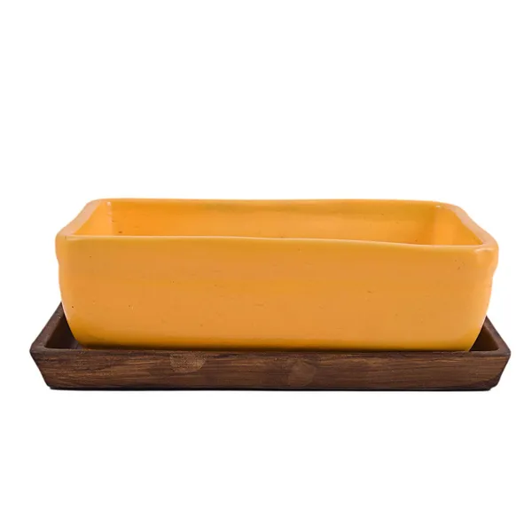 Rectangle_With_Plate_Tray_Ceramic_Pots_For_Indoor_Plants,Planters,Flower_Pots,Gamla_For_Indoor,Outdoor,Succulent_Pot.(Color:_Hp_Yellow,Plate:Antique)