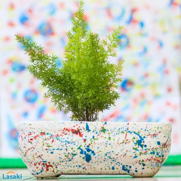 Rectangle_Ceramic_Pots_For_Indoor_Plants,Planters,Flower_Pots,Gamla_For_Indoor,Outdoor,Succulent_Pot.(Color:_Multi)_Rec002