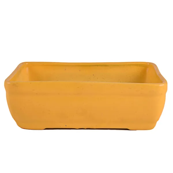 Rectangle_Ceramic_Pots_For_Indoor_Plants,Planters,Flower_Pots,Gamla_For_Indoor,Outdoor,Balcony,Home,Garden,Office_Decor,Succulent_Pot_(Color:Hp_Yellow)_Rec003