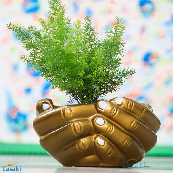 Hand_With_Tray_Plate_Ceramic_Pots_For_Indoor_Plants,Planters,Flower_Pots,Gamla,Outdoor,Succulent(Color:Golden,_Plate:Golden)_Cir001