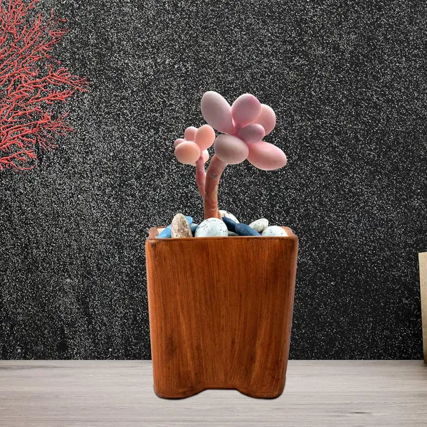 Mini_Ceramic_Pot_For_Indoor_Plants,_Living_Room,_Interior_Flower_Pots_Plant,_Home,_Garden,_Office_Décor,Succulent_Cactus_Planter_(Color:_Antique)
