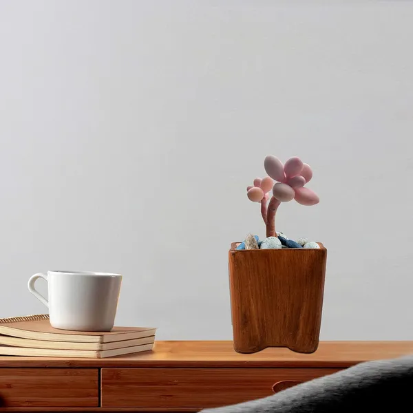 Mini_Ceramic_Pot_For_Indoor_Plants,_Living_Room,_Interior_Flower_Pots_Plant,_Home,_Garden,_Office_Décor,Succulent_Cactus_Planter_(Color:_Antique)