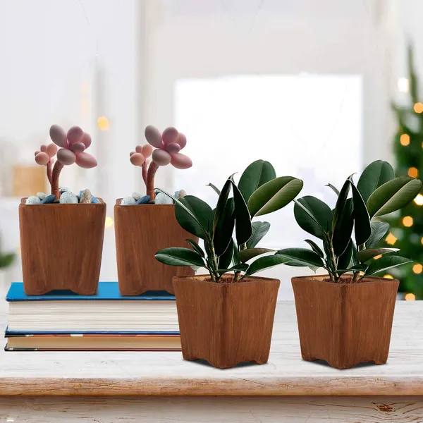 Ceramic_Mini_Pots_For_Indoor_Plants,_Planters,_Flower_Pot,_Gamla,_Table_Top_Outdoor,_Succulent_Pot.(Color:_Antique_Set_Of_4)