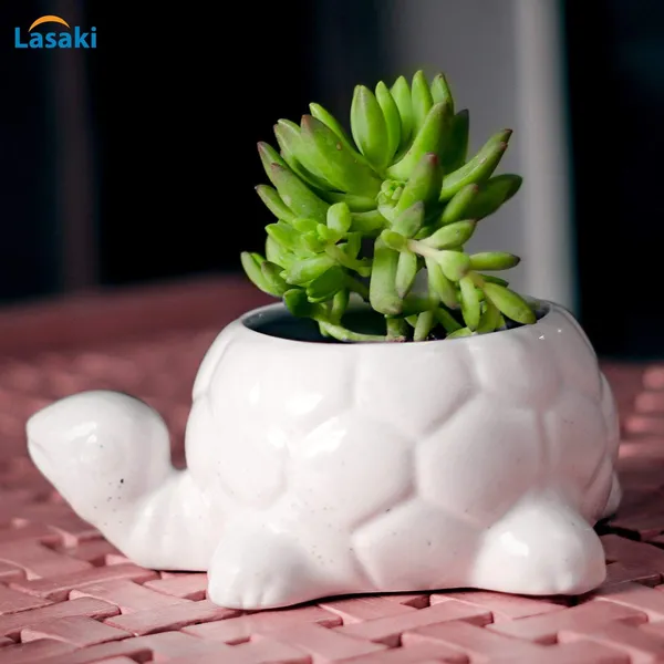 Tortoise_Small_Ceramic_Pots_Best_Use_For_Indoor_Plants,_Planters,_Flower_Pots,_Gamla_For_Indoor_Or_Outdoor_And_Succulent_Pot(Color:White_Hp)