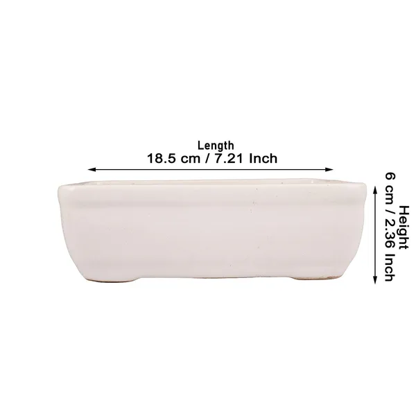Rectangle_Ceramic_Pots_For_Indoor_Plants,Planters,Flower_Pots,Gamla_For_Indoor,Outdoor,Succulent_Pot_(White_Hp)(L:18.5_Cm,_H:6_Cm)