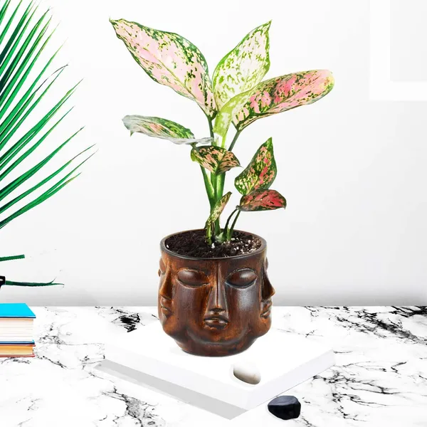 Vivan_Antique_Ceramic_Pots_For_Indoor_Plants,_Planters,_Flower,_Pots,_Gamla,_Outdoor,_Balcony,_Home,_Garden,_Office_Decor,_Succulent_Pot(H_-_10_X_D_-_10_Cm)